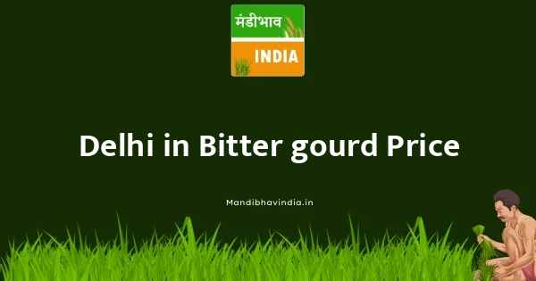 Bitter gourd भाव